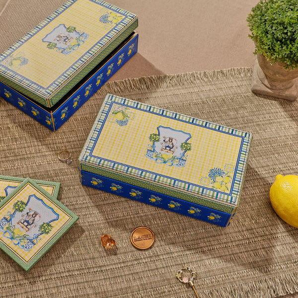 Monkey Monarch - Storage Box