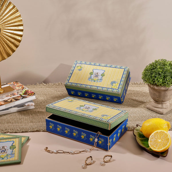 Monkey Monarch - Storage Box