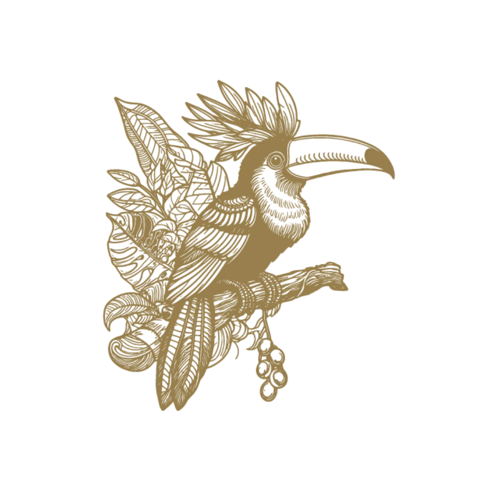The Language of Gifting
