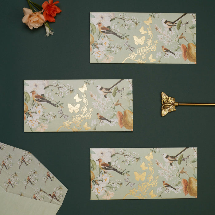 The Riding Bear Duo Box